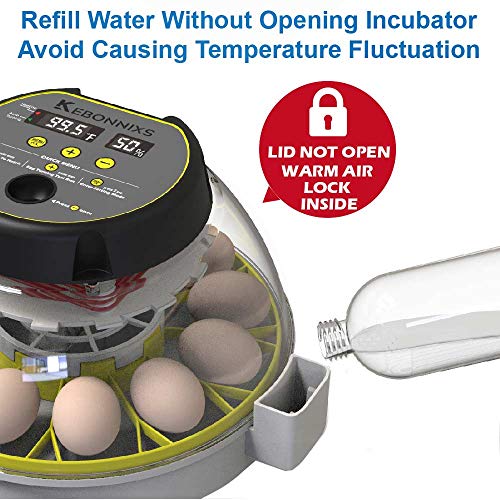 12 Egg Incubator with Humidity Display and Turner