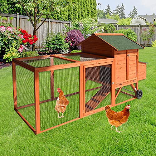 Deluxe Wooden Chicken Coop with Nesting Box