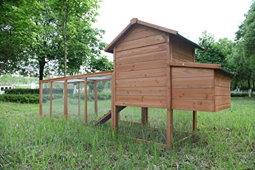 120" Chicken Coop with Run: Outdoor Hen House
