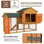 66" Wood Chicken Coop, Indoor/Outdoor, 2-4 Chickens