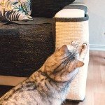 Sisal Cat Scratch Mat for Sofa Protection