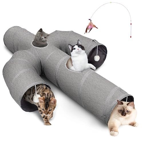 Cat Toys