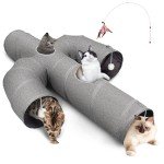 Cactus-Shaped Cat Tunnel with Multiple Exits
