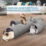Cactus-Shaped Cat Tunnel with Multiple Exits