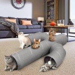 Cactus-Shaped Cat Tunnel with Multiple Exits