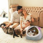 Cozy Semi-Enclosed Cat Igloo Bed with Cushion