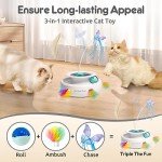 3-in-1 Interactive Cat Toy Set with Attachments