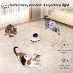 Interactive 2-in-1 Cat Toy with Moving Feathers