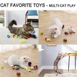 Suhaco Interactive Cat Toy Set with Balls & Wand