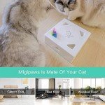 Interactive Cat Toy with Mice and Feather Refills
