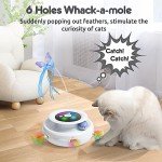 3-in-1 Interactive Cat Toy Set with Attachments