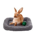 Cozy Washable Cat Bed for Kittens and Cats