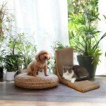 L-Shaped Cat Scratching Board with Toy