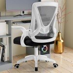 Blisswood Adjustable Ergonomic Office Desk Chair
