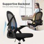 Ergonomic Swivel Desk Chair with Lumbar Support