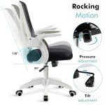 Blisswood Adjustable Ergonomic Office Desk Chair