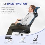 YONISEE Ergonomic Office Chair with Lumbar Support