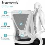 Blisswood Adjustable Ergonomic Office Desk Chair
