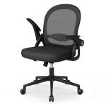 Ergonomic Swivel Desk Chair with Lumbar Support
