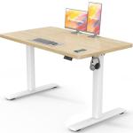 Flamaker Height Adjustable Electric Standing Desk - Beige