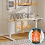 Flamaker Height Adjustable Electric Standing Desk - Beige