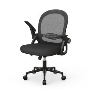 Ergonomic Swivel Desk Chair with Lumbar Support