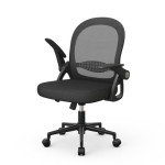 Ergonomic Swivel Desk Chair with Lumbar Support