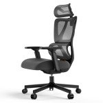 ProtoArc EC100 Ergonomic High Back Office Chair