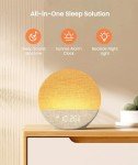 Dreamegg Sunrise Alarm Clock and Sound Machine