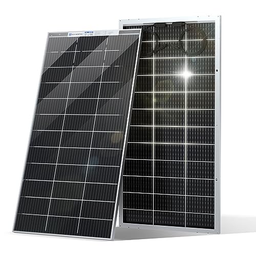 ECO-WORTHY 195W Bifacial 12V Solar Panel