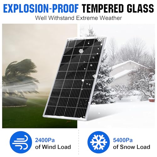 ECO-WORTHY 100W Bifacial Monocrystalline Solar Panels