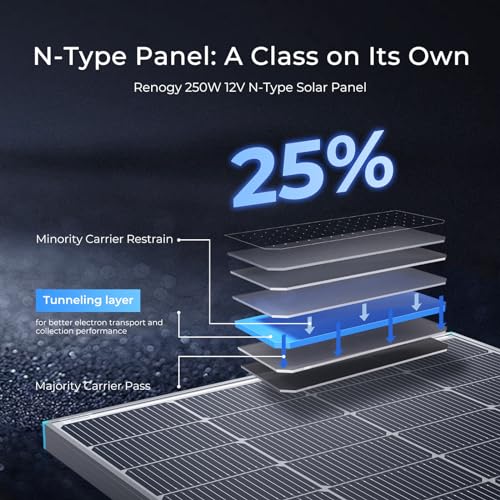 Renogy 250W Dual-Sided High-Efficiency Solar Panel