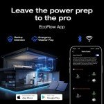 EF ECOFLOW Smart Home Panel 2 for Backup Power
