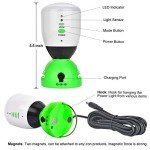 Nature's Generator 4-Pack Solar Power Lights