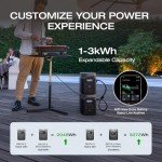 EF ECOFLOW DELTA 2 Portable Solar Generator