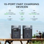 EF ECOFLOW DELTA 2 Portable Solar Generator