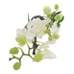 White Phalaenopsis Orchid Plant with Personalised Card