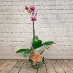 Single Stem Pink Orchid for Home Decor