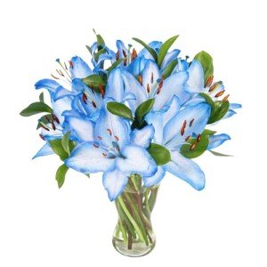 Ocean Lilies - Floral Arrangement for Any Occasion