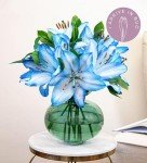 Ocean Lilies - Floral Arrangement for Any Occasion