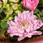 Strawberries & Cream Bouquet for Every Occasion
