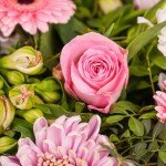 Strawberries & Cream Bouquet for Every Occasion