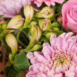 Strawberries & Cream Bouquet for Every Occasion