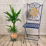 100cm 2 Stem Real Yucca Indoor Plant