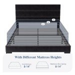 Velvet Queen Platform Bed Frame with Slats