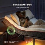 Marsail MS01 Queen Adjustable Bed Frame with USB Ports