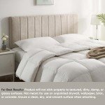 Beige Wall-Mounted Queen Headboard with Soundproof Panels