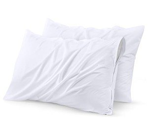 Waterproof Zippered Pillow Protectors (2 Pack)