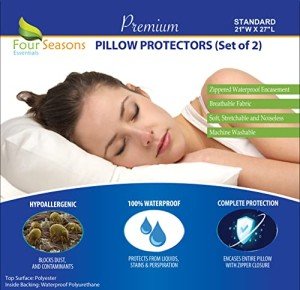 Waterproof Pillow Protectors (Set of 2)