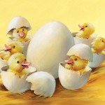 365 Bedtime Stories and Rhymes for Kids